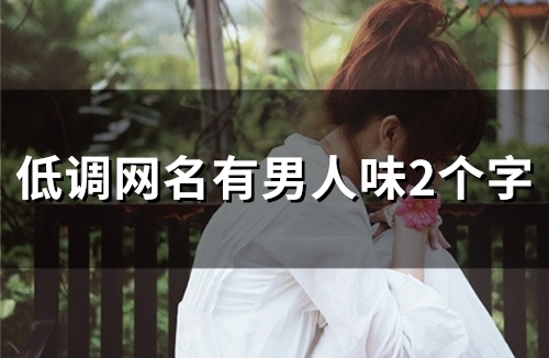 低调网名有男人味2个字(111个)