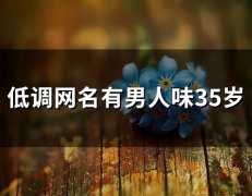 低调网名有男人味35岁(108个)
