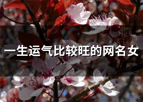 一生运气比较旺的网名女(精选148个)