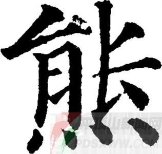 2023年最火的熊氏微信头像(12张)
