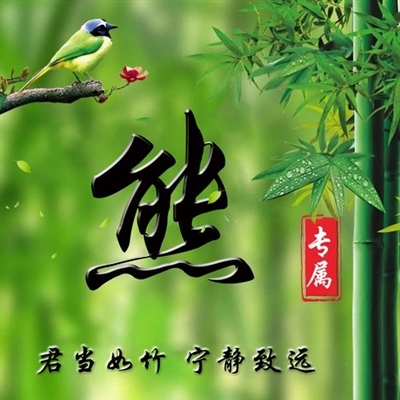 2023年最火的熊氏微信头像(12张)