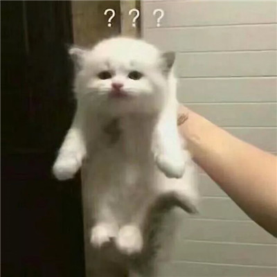 2023最火爆的沙雕头像(24张)