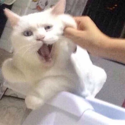 2023最火爆的沙雕头像(24张)