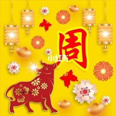 2023周姓最红头像(24张)