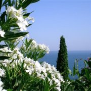 专属2023最火景色头像(18张)