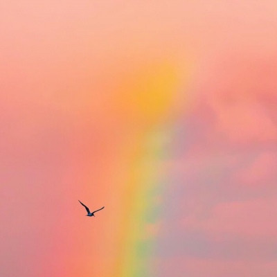 2023最吉祥微信头像(20张)