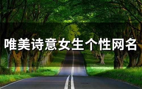 唯美诗意女生个性网名(158个)
