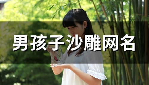 男孩子沙雕网名(99个)