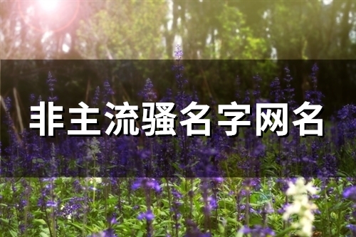 非主流骚名字网名(精选123个)