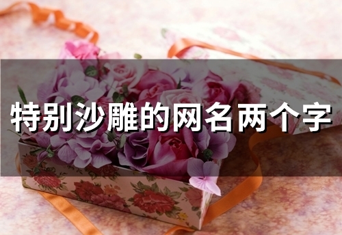 特别沙雕的网名两个字(精选99个)