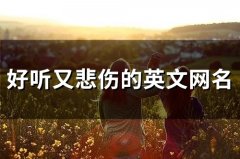 好听又悲伤的英文网名(精选85个)