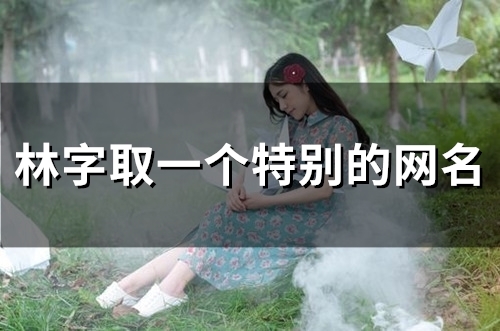 林字取一个特别的网名(92个)