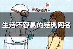 生活不容易的经典网名(精选148个)