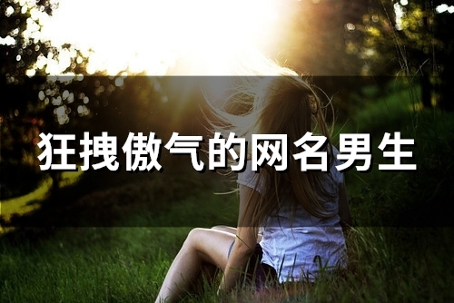 狂拽傲气的网名男生(89个) 狂拽傲气的网名男生(89个)