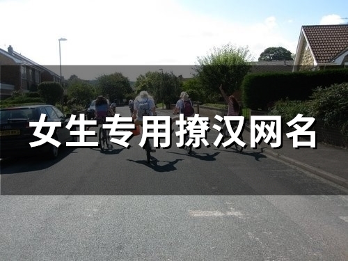 女生专用撩汉网名(精选118个)