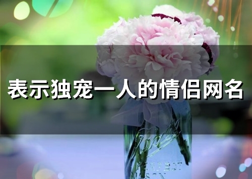 表示独宠一人的情侣网名(精选81个)