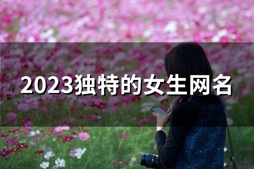 2023独特的女生网名(精选147个)