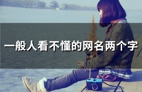 一般人看不懂的网名两个字(精选135个)