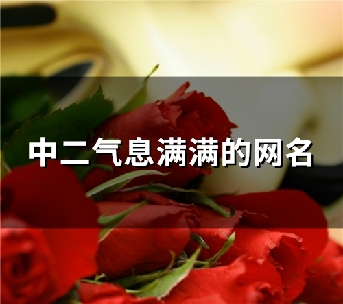 中二气息满满的网名(精选93个)