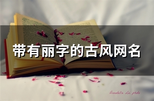 带有丽字的古风网名(73个)
