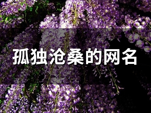 孤独沧桑的网名(143个)