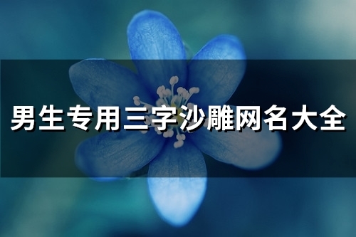 男生专用三字沙雕网名大全(80个)