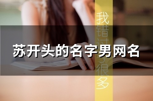苏开头的名字男网名(精选84个)