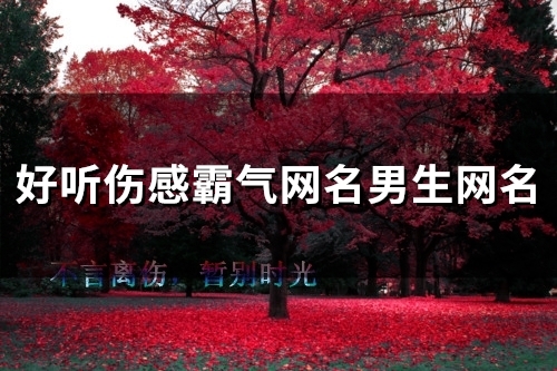 好听伤感霸气网名男生网名(精选101个)