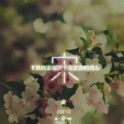 2023微信最火宋氏头像(精选22张)