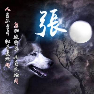 2023最红张姓微信头像(精选16张)