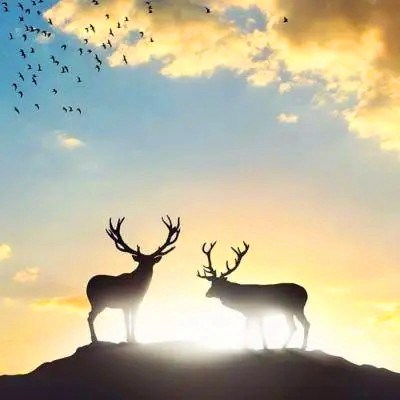 2023年最牛微信头像(精选22张)