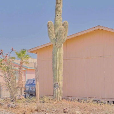 2023年最火的幸运头像(14张)