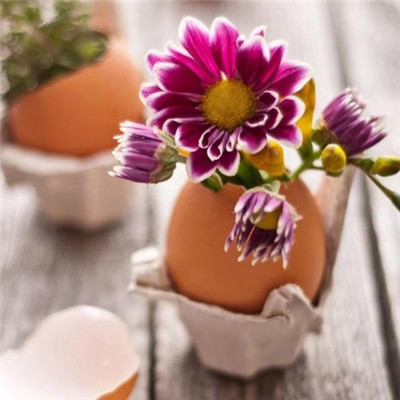 2023最火好看超清头像(精选24张)