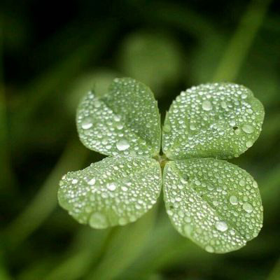 2023属龙女最吉利头像(精选14张)