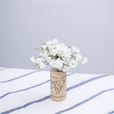 2023年的最火头像(精选24张)