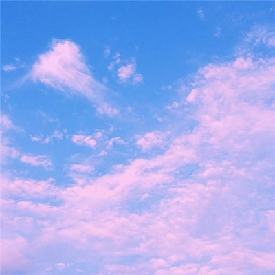 2023年的最火头像(精选24张)