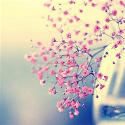 2023年的最火头像(精选24张)