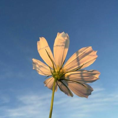 2023最火小朋友头像(24张)