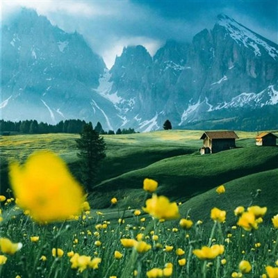 2023最火小朋友头像(24张)