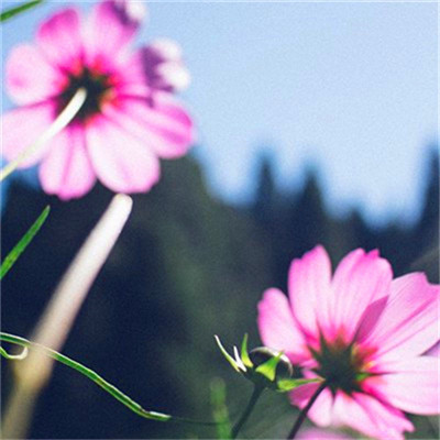 抖音头像图片2023新款风景(18张)