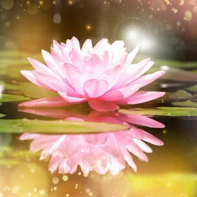 成熟女人专用的微信头像(18张)