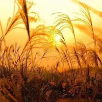 女人专用的微信头像日出的(精选22张)