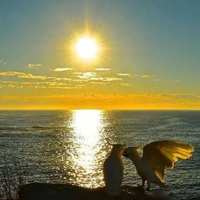 女人专用的微信头像日出的(精选22张)