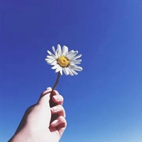 女人专用的微信头像日出的(精选22张)