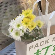 让人一看就很舒服的头像(28张)