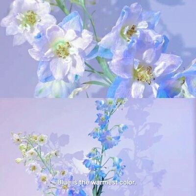 让人一看就很舒服的头像(28张)