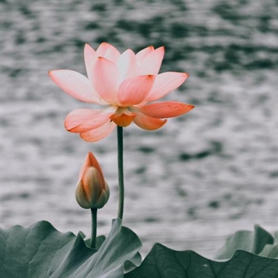 永久吸引人的头像(28张)