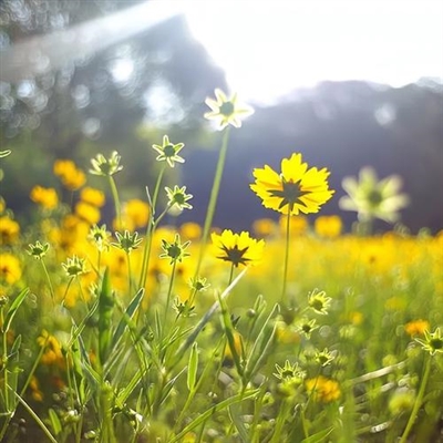 永久吸引人的头像(28张)