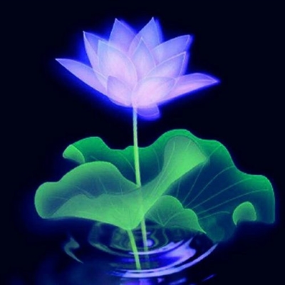 很独特的头像图片(26张)