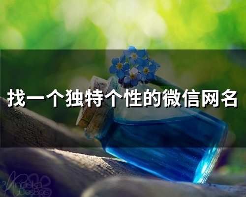 找一个独特个性的微信网名(93个)